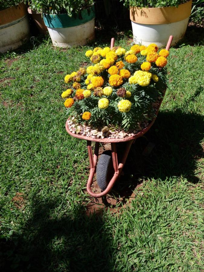 Eco Pousada Jardim Do Eden Alto Paraiso de Goias Exterior photo
