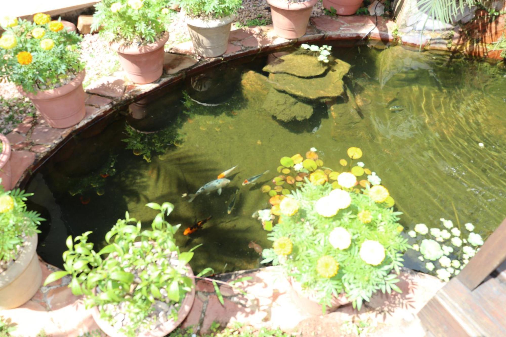 Eco Pousada Jardim Do Eden Alto Paraiso de Goias Exterior photo